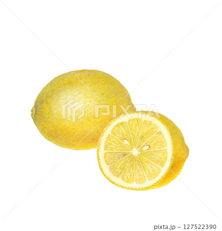 水彩で描いたレモンのラスターイラスト 127522390