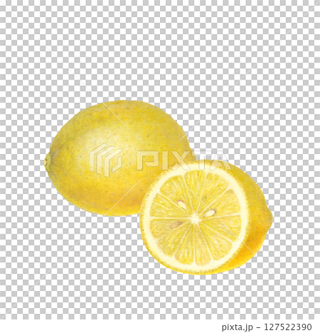 水彩で描いたレモンのラスターイラスト 127522390