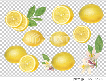 水彩で描いたレモンと輪切りのラスターイラストセット 127522392