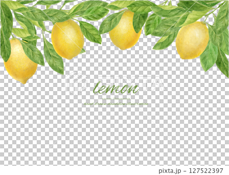 用水彩畫的新鮮檸檬 127522397
