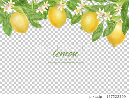 水彩で描いたフレッシュなレモンとレモンの花で飾ったフレーム 127522399