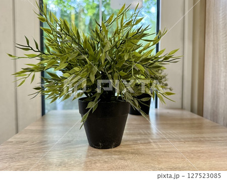 An artificial flower in a black pot decorates the cafe interior. High quality photo 127523085