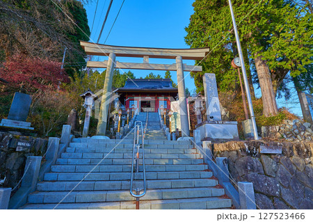 秋の青梅市御岳山 武蔵御嶽神社の石段から大鳥居越しに随身門を見上げる 127523466