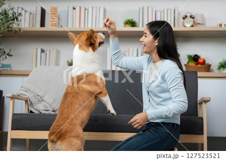 Bonding Moment with Dog. A woman training her corgi at home with treats. Bonding Moment with Dog. A woman training her corgi at home with treats. 127523521