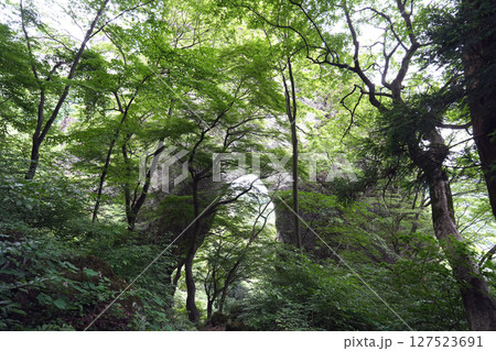 妙義山　石門めぐり　群馬県 127523691