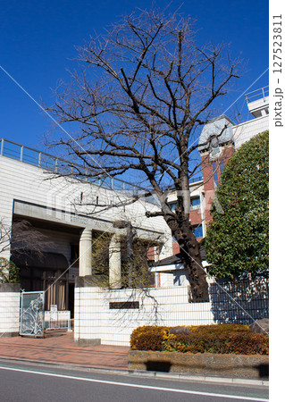 吉祥女子中学・高等学校 127523811