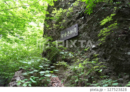 妙義山 石門めぐり 群馬県 妙義山 石門めぐり 群馬県 127523828