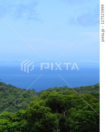 ヤンバルの夏　沖縄県大宜味村 127523999