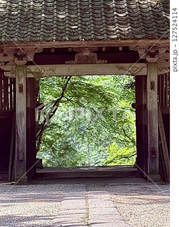 香嵐渓の青紅葉 127524114