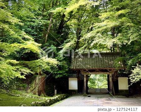 香嵐渓の青紅葉 127524117