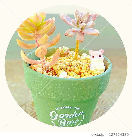緑色のポットに植えられた多肉植物とネズミのキャラクターマスコット 緑色のポットに植えられた多肉植物とネズミのキャラクターマスコット 127524320