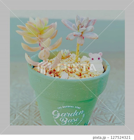 緑色のポットに植えられた多肉植物とネズミのキャラクターマスコット 127524321