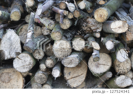 Background from stacked birch firewood. Background from stacked birch firewood. 127524341