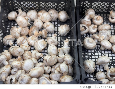 A lot of champignon mushrooms on sale in vegetable stand display at supermarket shop organic food, vegetarian food, healthy food. Background. Close-up 127524733