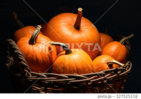 Assorted orange pumpkins in wicker garden basket close up Assorted orange pumpkins in wicker garden basket close up 127525118