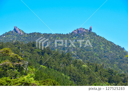 屋久島　花折岳　太忠岳 127525283