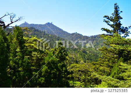 屋久島 花折岳 太忠岳 屋久島 花折岳 太忠岳 127525385