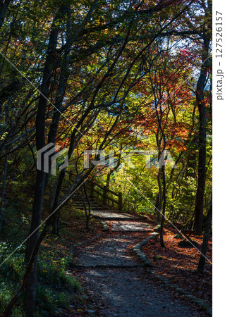 秋の兵庫県神戸市 紅葉の有馬温泉 瑞宝寺公園 秋の兵庫県神戸市 紅葉の有馬温泉 瑞宝寺公園 127526157