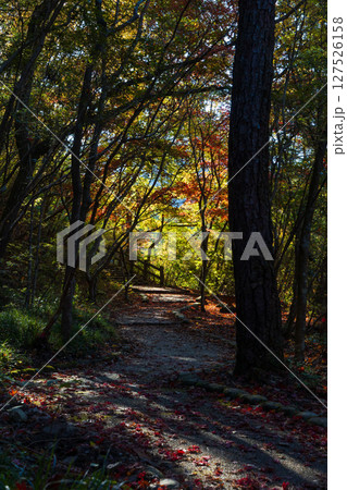 秋の兵庫県神戸市　紅葉の有馬温泉　瑞宝寺公園 127526158