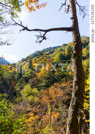 秋の兵庫県神戸市　紅葉の有馬温泉　瑞宝寺公園 127526160