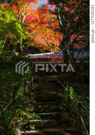 秋の兵庫県神戸市 紅葉の有馬温泉 瑞宝寺公園 秋の兵庫県神戸市 紅葉の有馬温泉 瑞宝寺公園 127526181