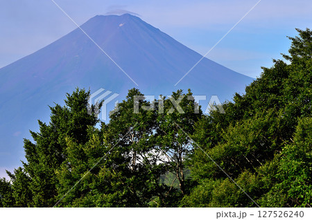 御坂山地の木無山より 雲わく夏富士を望む 御坂山地の木無山より 雲わく夏富士を望む 127526240
