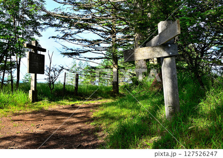 御坂山地 夏の木無山山頂 御坂山地 夏の木無山山頂 127526247