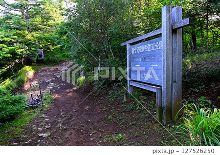 御坂山地 三ツ峠山の登山道 御坂山地 三ツ峠山の登山道 127526250
