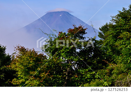 御坂山地の三ツ峠山より 夏富士 御坂山地の三ツ峠山より 夏富士 127526253