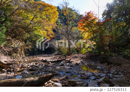 秋の兵庫県神戸市　紅葉の有馬温泉　瑞宝寺公園 127526311