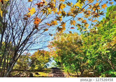 巴ヶ丘自然公園(新潟県) 巴ヶ丘自然公園(新潟県) 127526458