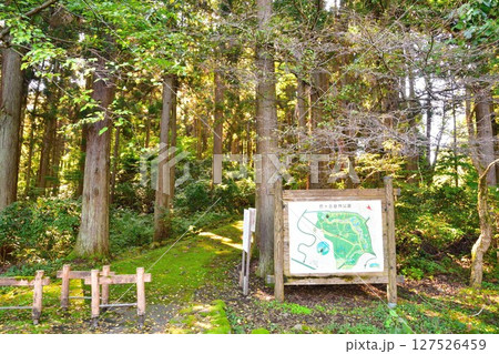 巴ヶ丘自然公園（新潟県） 127526459