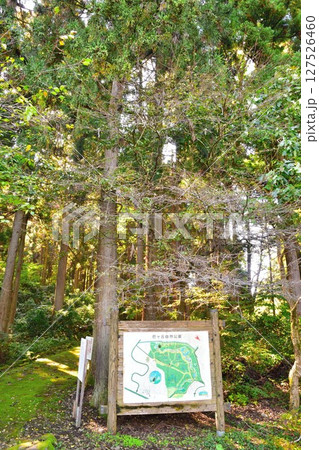 巴ヶ丘自然公園(新潟県) 巴ヶ丘自然公園(新潟県) 127526460