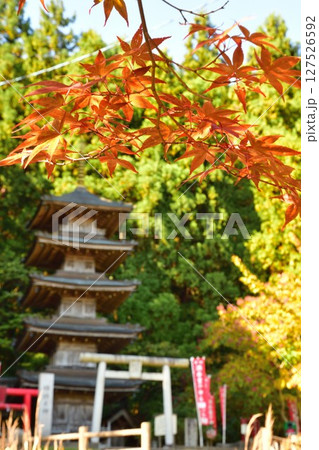 紅葉の酒呑童子神社（新潟県） 127526592