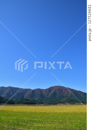 弥彦山の紅葉(新潟県) 弥彦山の紅葉(新潟県) 127526681