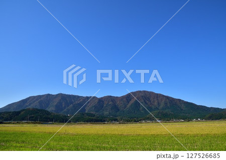 弥彦山の紅葉（新潟県） 127526685