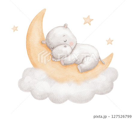 Watercolor cute hippo sleeping on moon in cloud with stars, watercolor hand drawn illustration for kids, painted drawing with isolated background 127526799