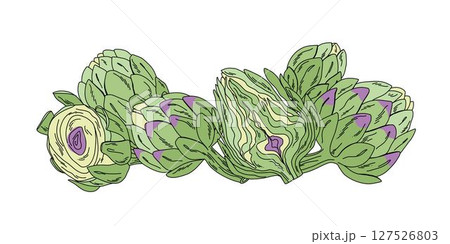 Botanical food illustration artichokes composition vibrant clipart set for culinary and kitchen use 127526803