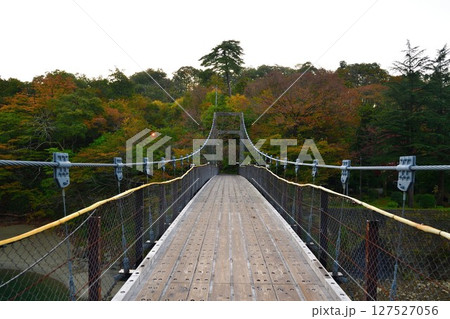 鷹ノ巣大吊り橋（新潟県） 127527056