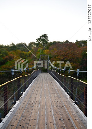 鷹ノ巣大吊り橋（新潟県） 127527057