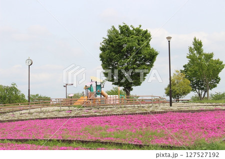 テクノさくら公園 テクノさくら公園 127527192