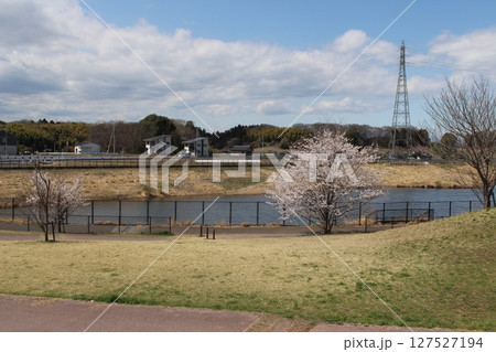 テクノさくら公園 テクノさくら公園 127527194