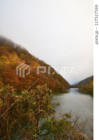 荒川峡もみじライン(山形県) 荒川峡もみじライン(山形県) 127527569