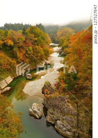 玉川渓流の紅葉(山形県) 玉川渓流の紅葉(山形県) 127527647