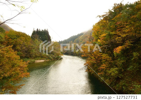 玉川渓流の紅葉(山形県) 玉川渓流の紅葉(山形県) 127527731