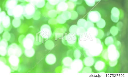 ぼやけた光が重なる緑の背景イラスト 127527791