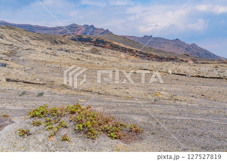 (熊本県)阿蘇火山荒原 砂千里ヶ浜 (熊本県)阿蘇火山荒原 砂千里ヶ浜 127527819