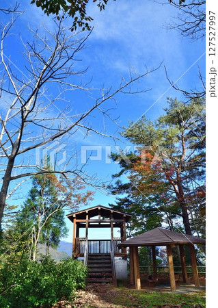 赤崎山森林公園の紅葉（新潟県） 127527997