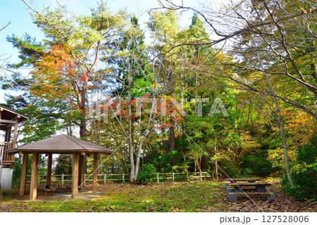 赤崎山森林公園の紅葉(新潟県) 赤崎山森林公園の紅葉(新潟県) 127528006