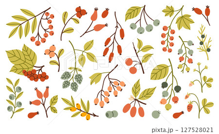 Simple autumn berries and twigs in warm red, orange, green and yellow tones. Different shapes and leaves make this perfect for seasonal designs and cozy fall themes. Flat design vector illustration. Simple autumn berries and twigs in warm red, orange, green and yellow tones. Different shapes and leaves make this perfect for seasonal designs and cozy fall themes. Flat design vector illustration. 127528021